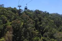 mit der Skyrail über die Atherton Tablelands