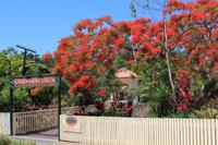Kuranda Historische Eisenbahn