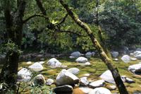 Mossman Gorge