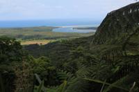Alexandre Lookout im Daintree-Nationalpark