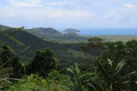 Alexandre Lookout im Daintree-Nationalpark