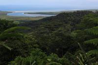 Alexandre Lookout im Daintree-Nationalpark