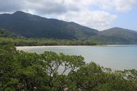 Cape Tribulation