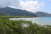 Cape Tribulation