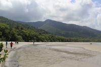 Cape Tribulation