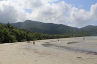 Cape Tribulation