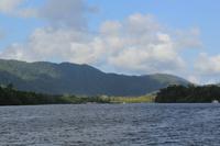 Daintree River Krokodilsafari