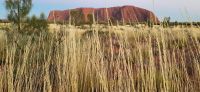 80 Sonnenaufgang am Uluru