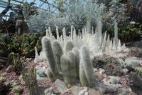 Singapur – Gardens by the Bay