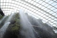 Singapur – Gardens by the Bay