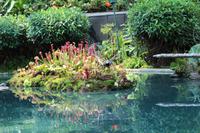 Singapur – Gardens by the Bay