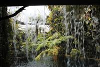 Singapur – Gardens by the Bay