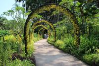 Singapur – Orchideengarten