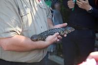 Featherdale Wildlife Park