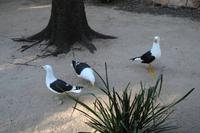 Featherdale Wildlife Park