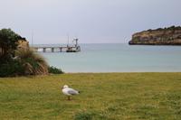 Great Ocean Road - Port Campbell