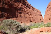 Wanderung am Kata Tjuta
