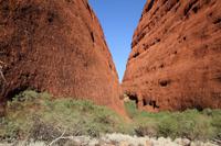 Wanderung am Kata Tjuta