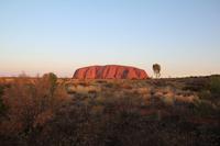 Sonnenuntergang am Ayers Rock