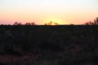 Sonnenaufgang am Ayers Rock