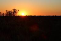 Sonnenaufgang am Ayers Rock