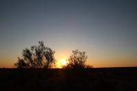 Sonnenaufgang am Ayers Rock