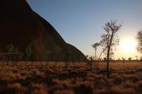 Wanderung am Ayers Rock