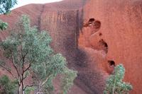 Wanderung am Ayers Rock