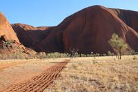 Wanderung am Ayers Rock