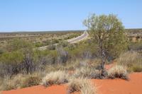 Fahrt nach Alice Springs