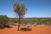 Fahrt nach Alice Springs