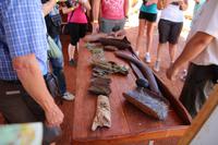 Alice Springs – Desert Park