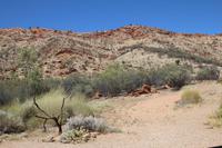 Alice Springs – Desert Park