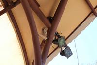 Alice Springs – Desert Park