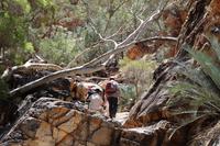Western Macdonnell Ranges – Standley Chasm