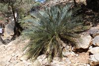 Western Macdonnell Ranges – Standley Chasm