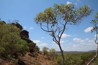 Kakadu-Nationalpark – Arnhemland-Safari – Wanderung Injalak Hill