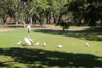Aurora Kakadu Resort