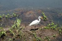 Kakadu-Nationalpark – Bootsfahrt auf dem Yellow Waters