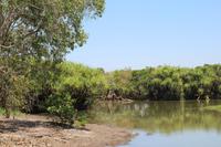 Kakadu-Nationalpark – Bootsfahrt auf dem Yellow Waters