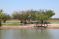 Kakadu-Nationalpark – Bootsfahrt auf dem Yellow Waters