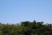 Kakadu-Nationalpark – Bootsfahrt auf dem Yellow Waters