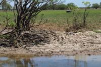 Kakadu-Nationalpark – Bootsfahrt auf dem Yellow Waters