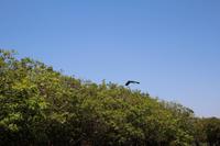 Kakadu-Nationalpark – Bootsfahrt auf dem Yellow Waters