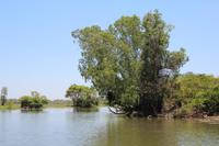 Kakadu-Nationalpark – Bootsfahrt auf dem Yellow Waters