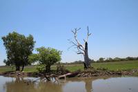 Kakadu-Nationalpark – Bootsfahrt auf dem Yellow Waters