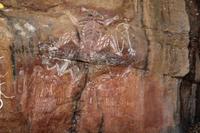 Kakadu-Nationalpark – Anbangbang Billabong