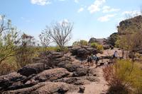 Kakadu-Nationalpark – Anbangbang Billabong