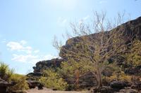 Kakadu-Nationalpark – Anbangbang Billabong