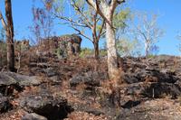 Kakadu-Nationalpark – Anbangbang Billabong